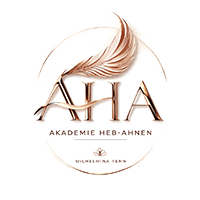 Akademie AHA